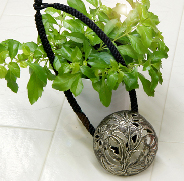 �V���o�[�u���[�`